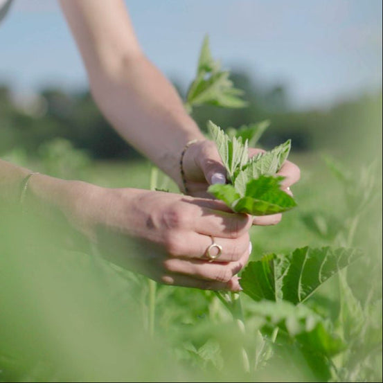Terroir au naturel