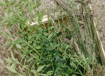 les aromatiques de terroir